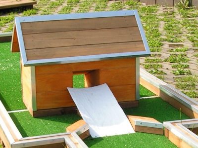Mini golf wooden small farm